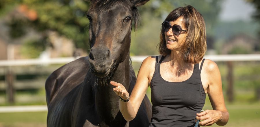 Hof van 't Rommersum Hof