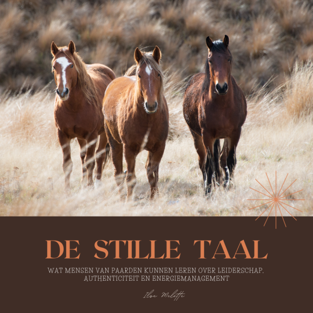 De Stille Taal