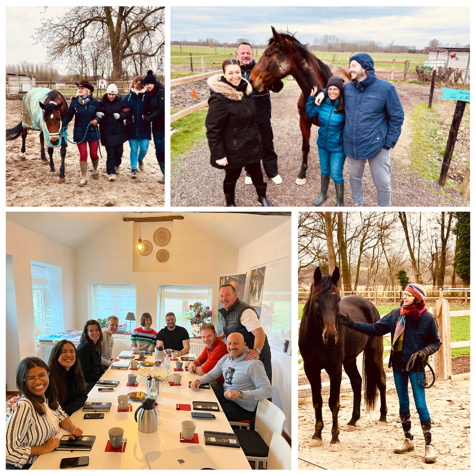 Coaching met paarden